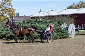 LR-WRF 10182025 Retreat-6529